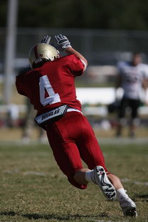 开云体育官网下载-中超球队双前锋战术成效分析，双前锋组合